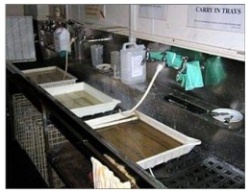 Potential Cross Contamination