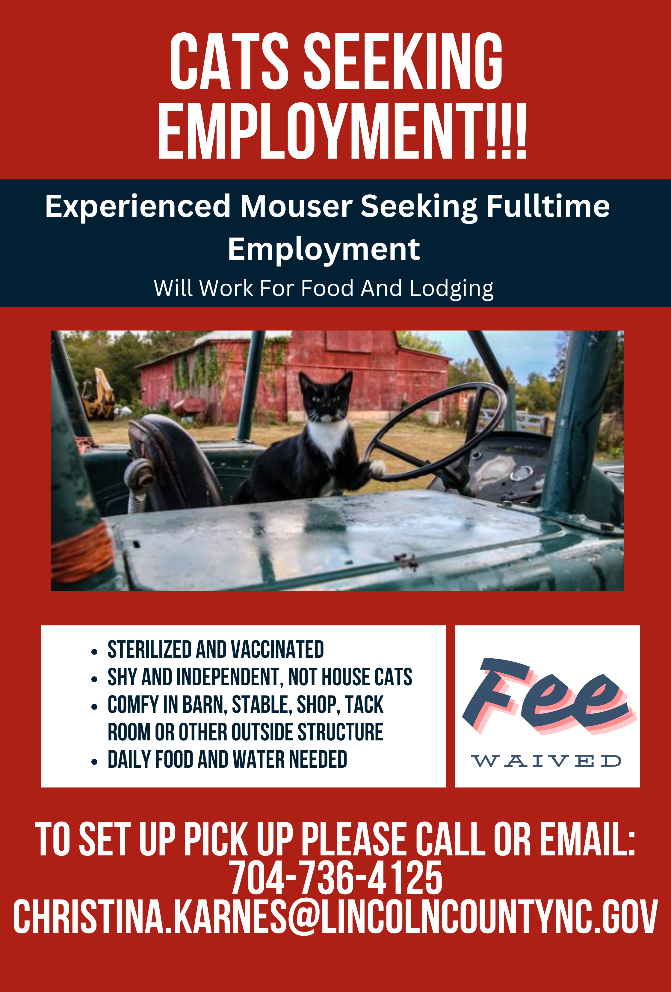 Working cat flyer example one