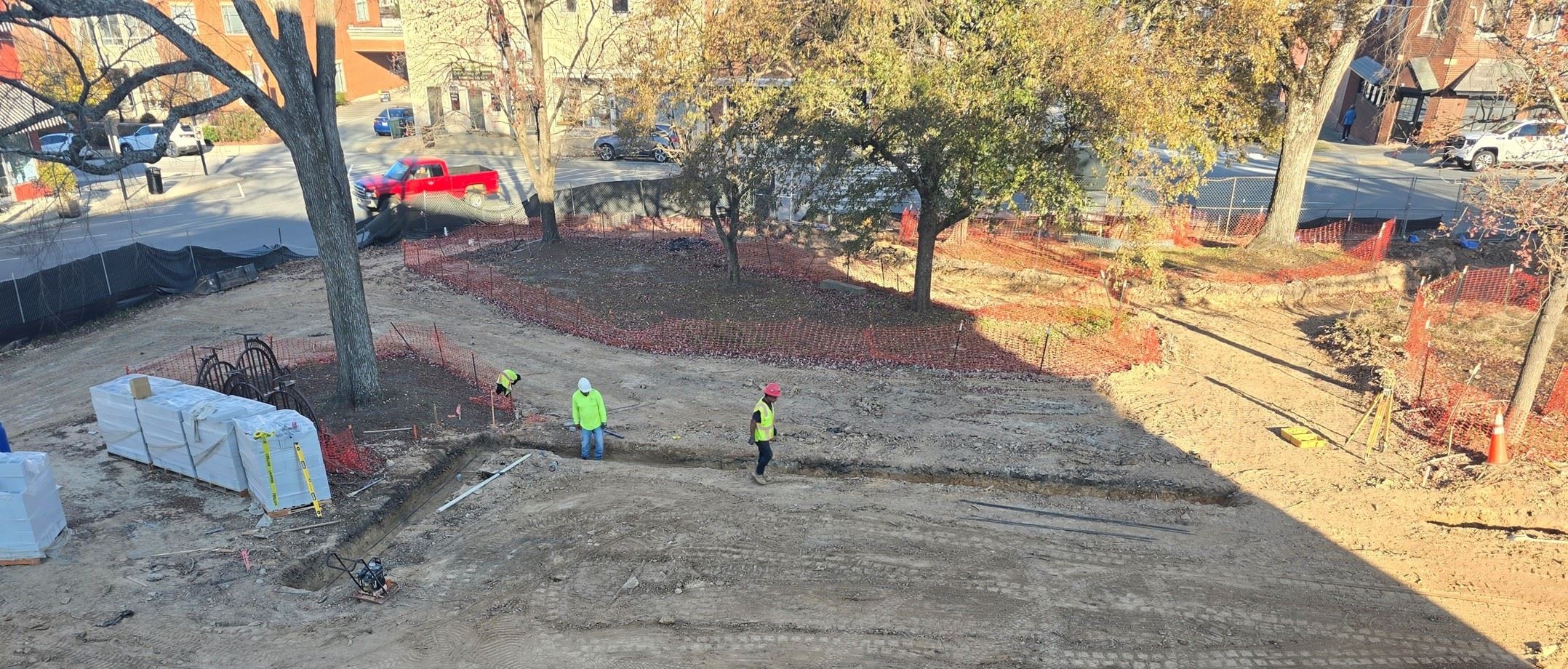 North Side Trees Zoomed